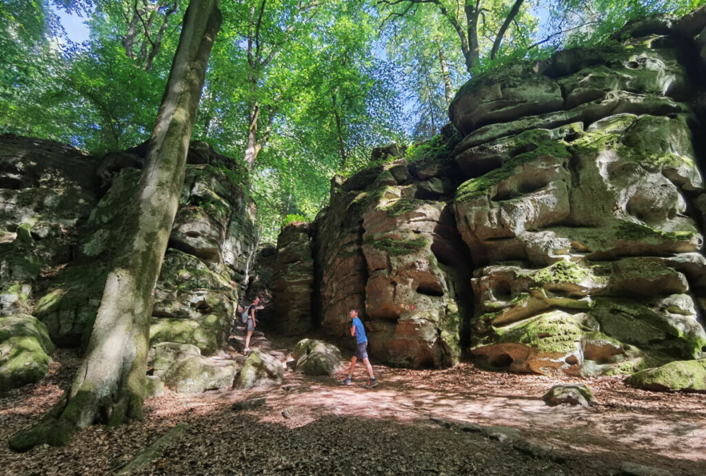 Durch die Teufelsschlucht Eifel mit Kindern wandern