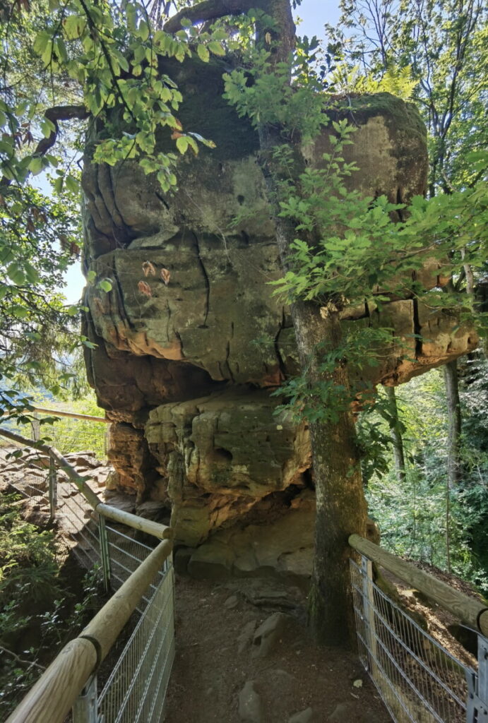 Aussichtspunkt auf der Teufelsschlucht Wanderung