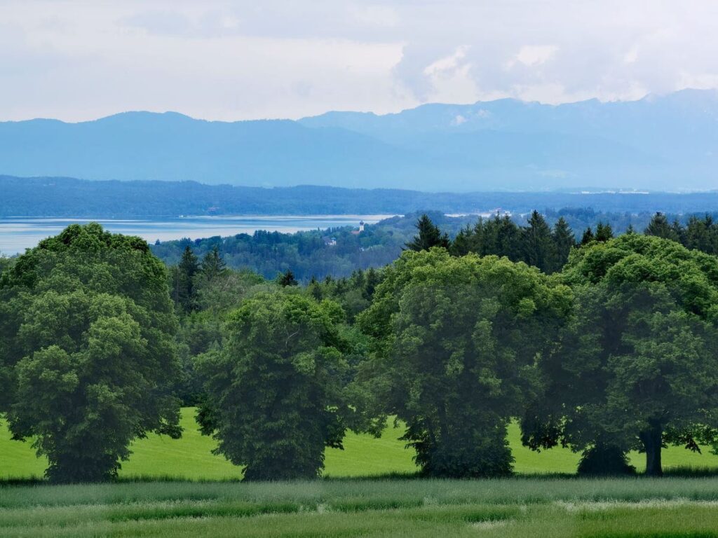 Blick von der Ilkahöhe Richtung Alpen